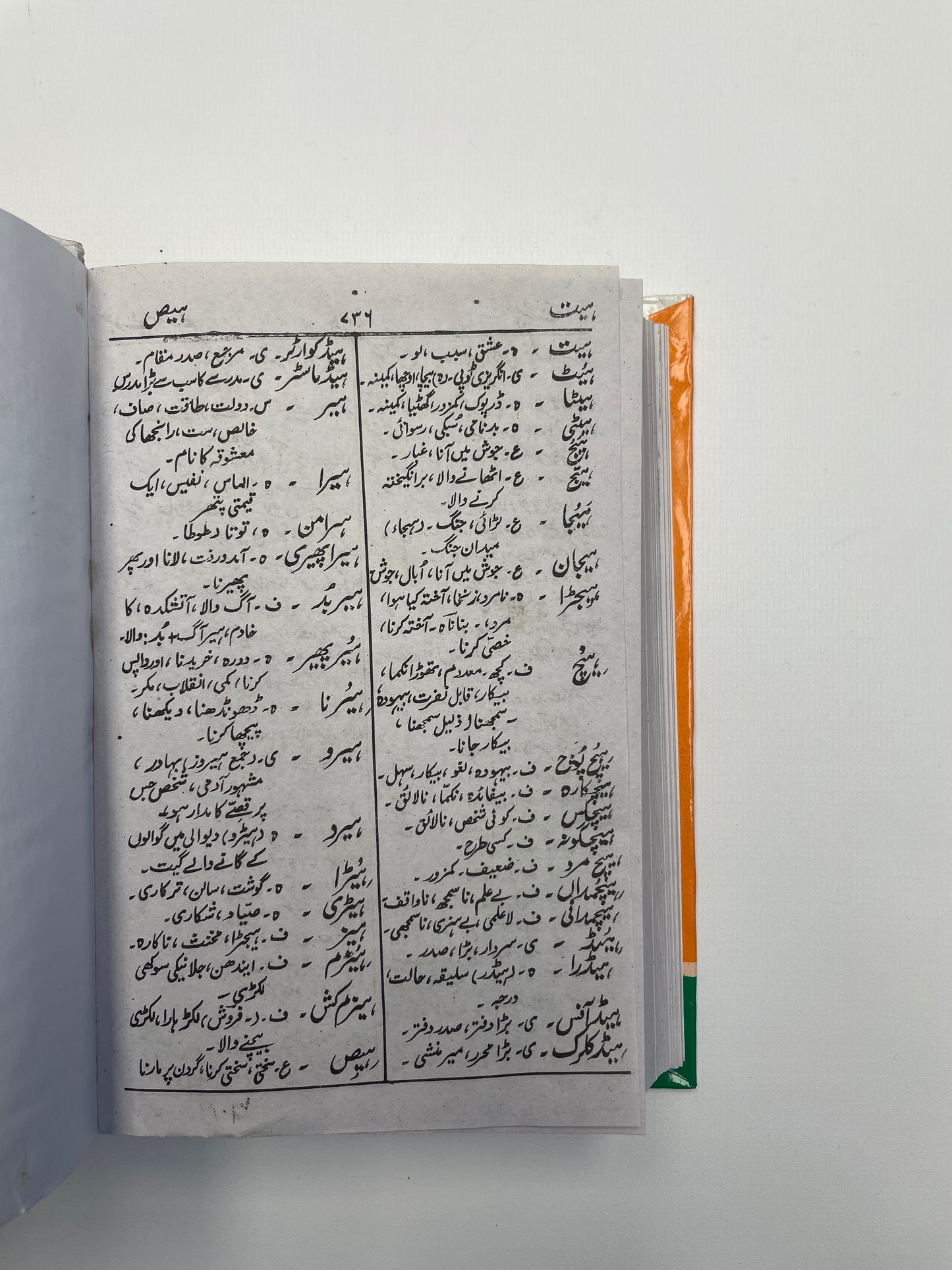 Jaamiul lugaat Urdu - جامع اللغات اردو
