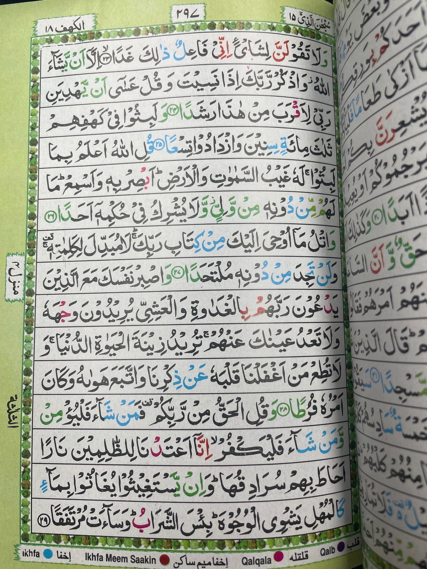 Qur’an (Colour coded 15 Line)