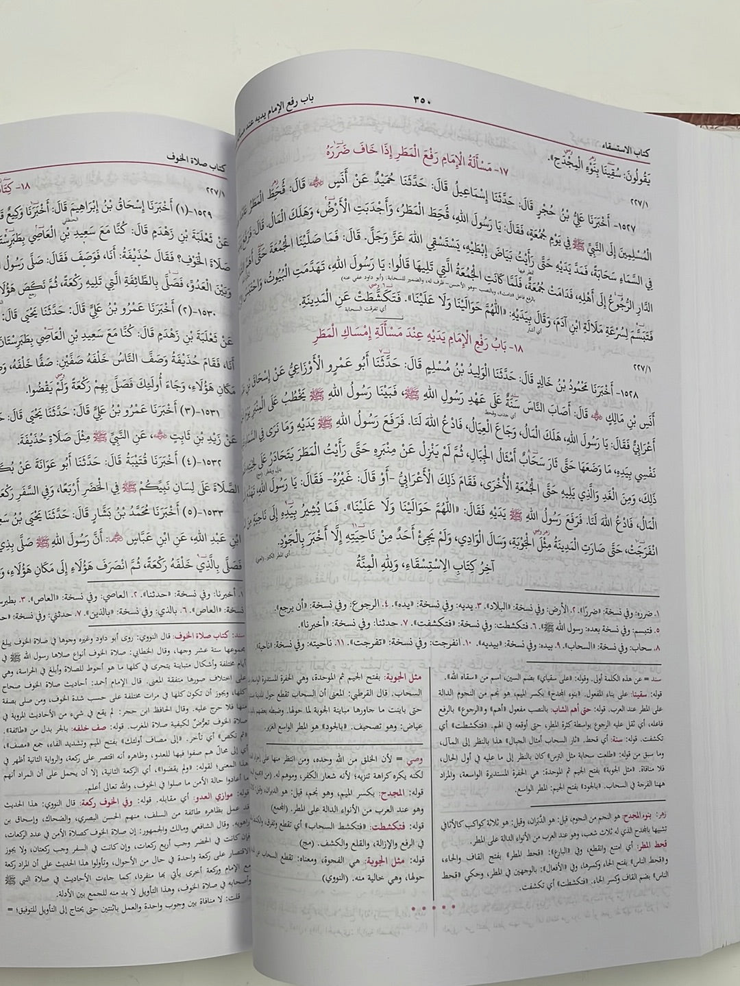 Sunan Nasai Complete - سنن النسائي مكمل