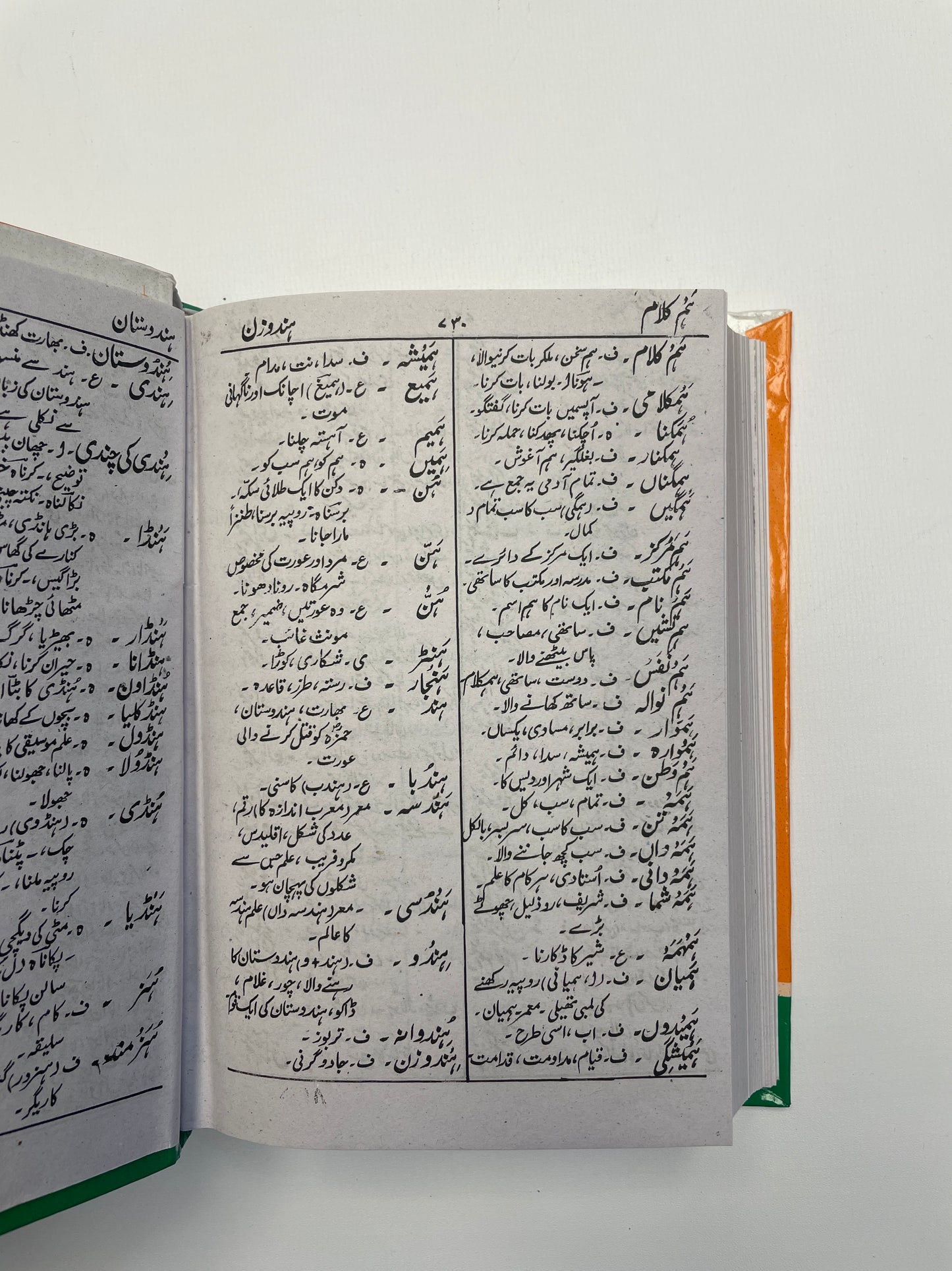 Jaamiul lugaat Urdu - جامع اللغات اردو