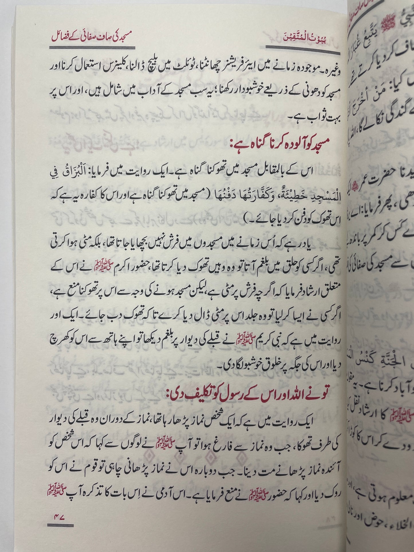 بيوت المتقين - Buyoot ul Muttaqin