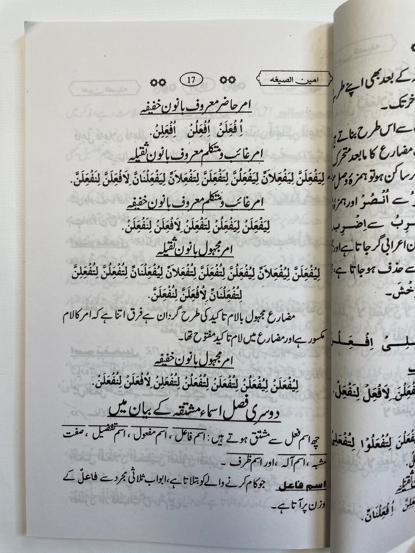 امین الصيغه ترجمه علم الصیغه- Ameen us Sigha