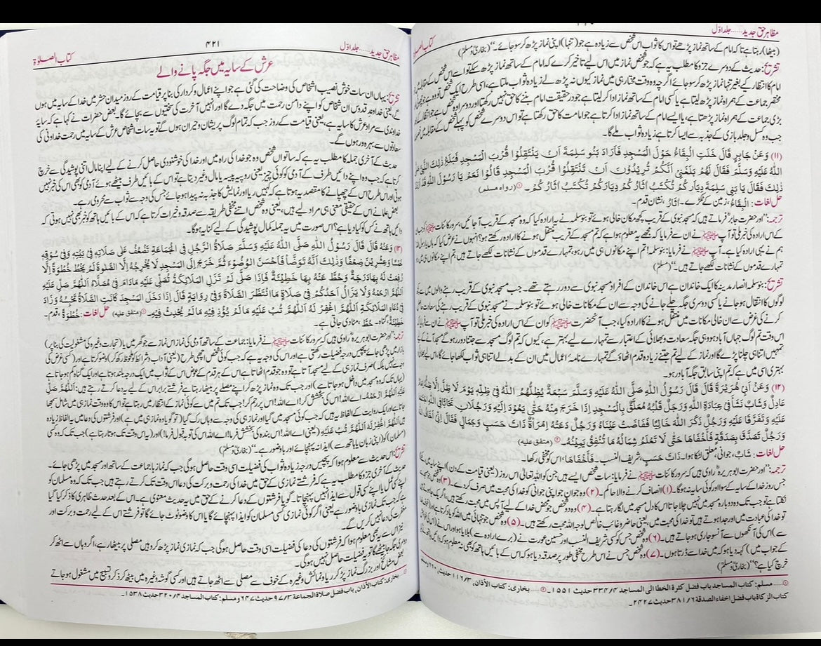 Mazaahir Haqq - مظاهر حق