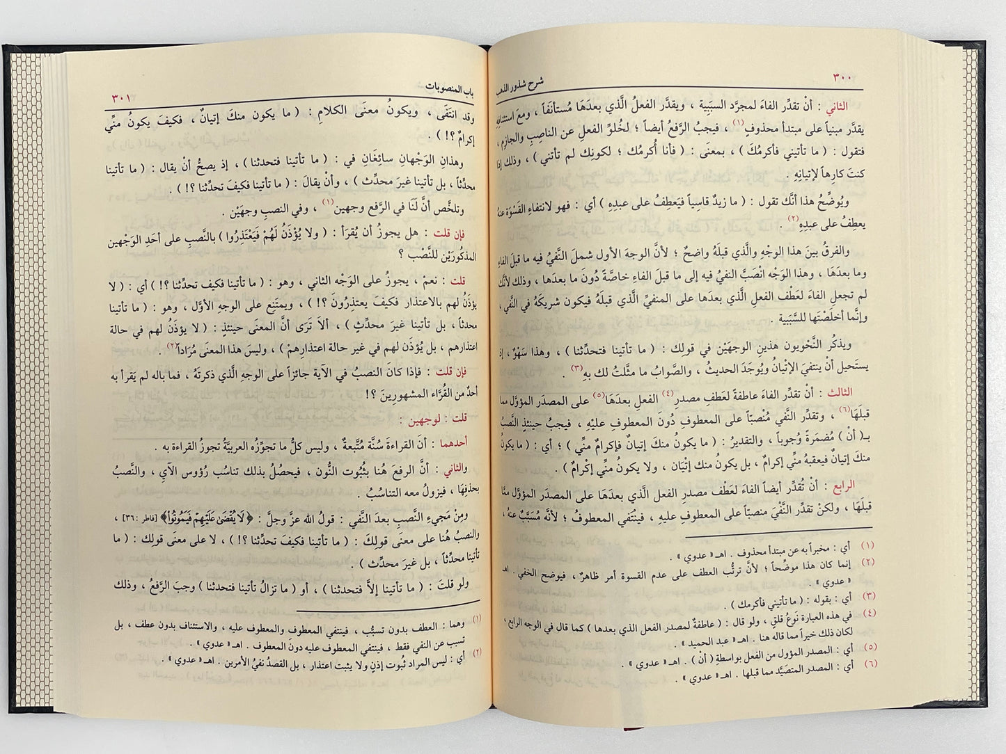 Sharhu Shuthooruz Zahab - شرح شذور الذهب