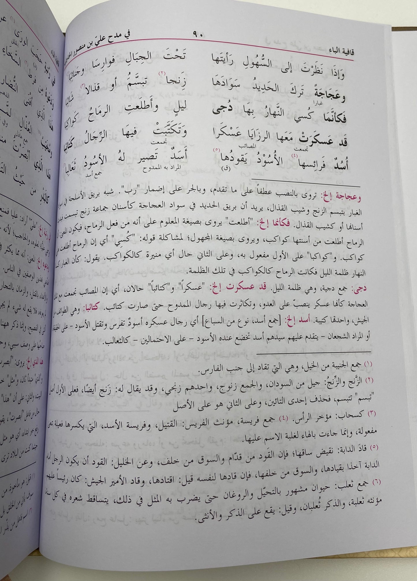 Al Deewaan Lil Mutanabbi - الديوان للمتنبي