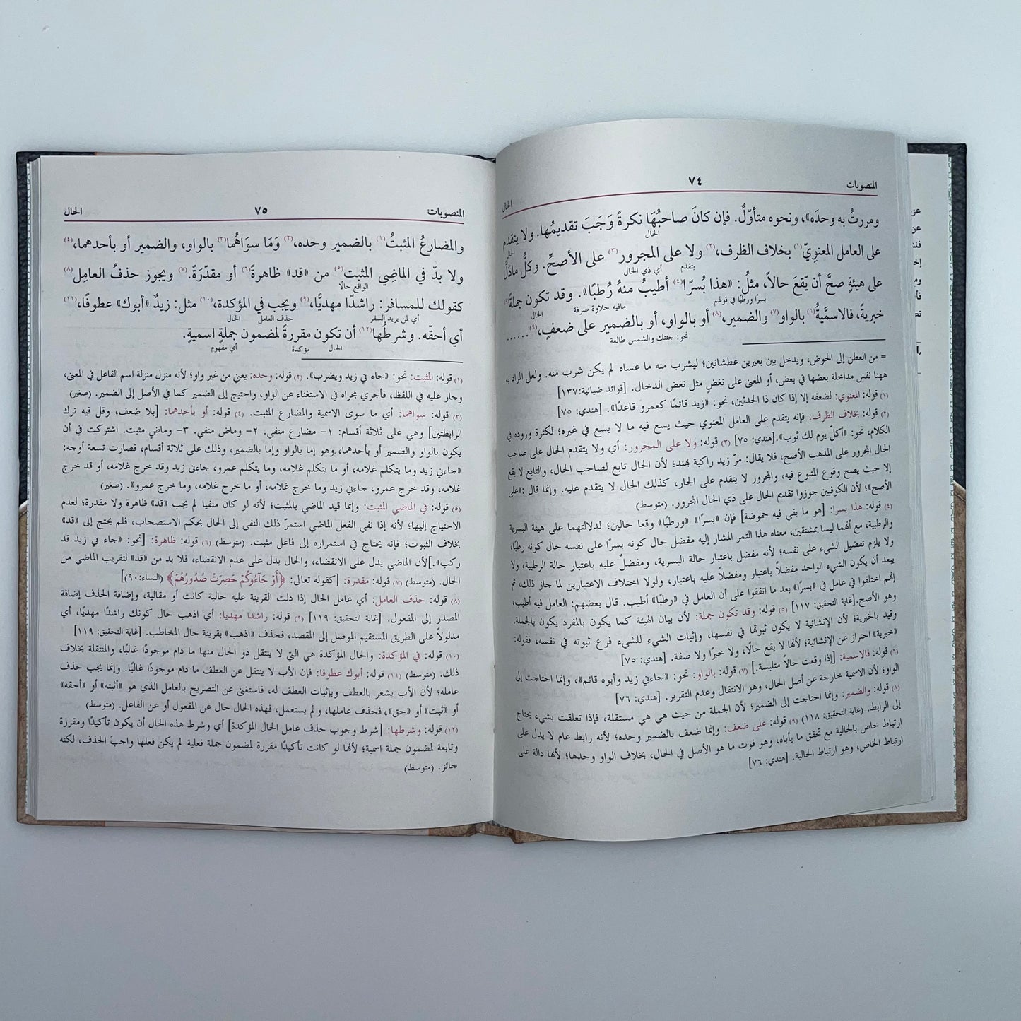 Al Kaafiyah - الكافية في علم النحو