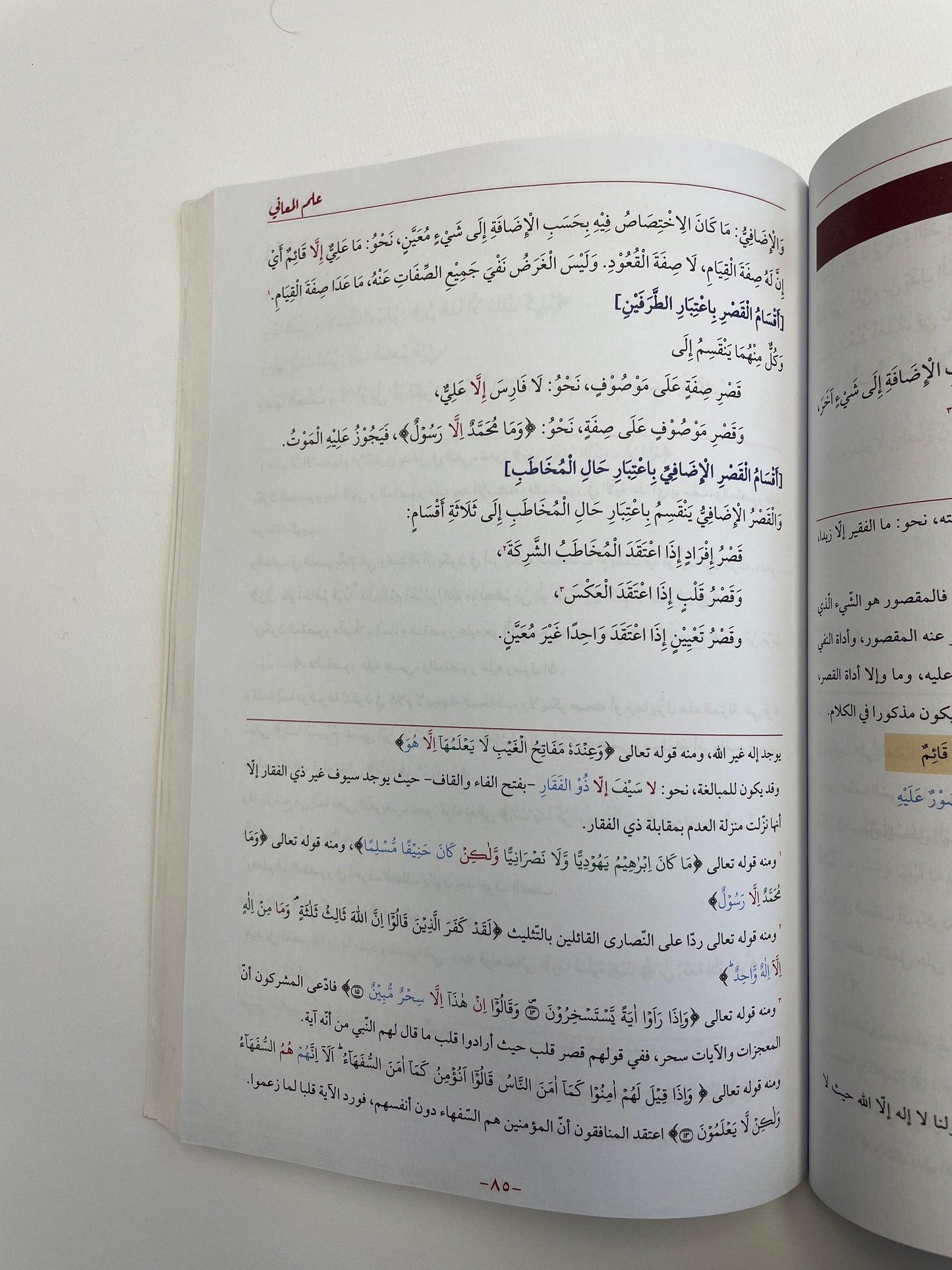 دروس البلاغة مع مزجاة البضاعة - Duroosul Balaaghah Al Qalam