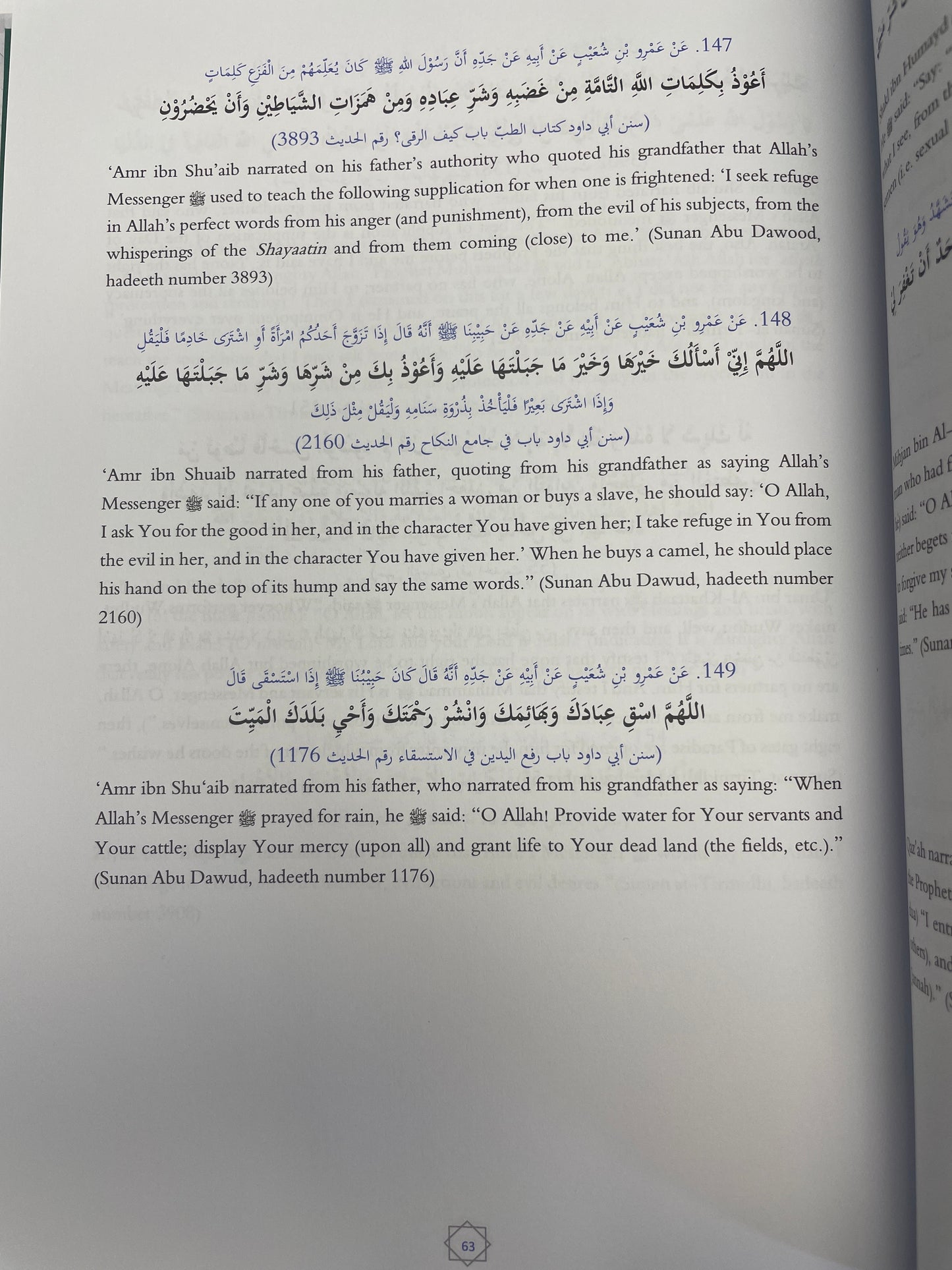 An Authentic Collection of 1000 Prophetic Narrations
