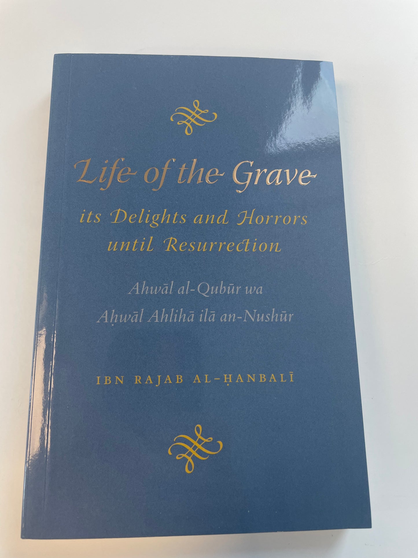 Life of the Grave – It’s Delights and Horrors until Resurrection